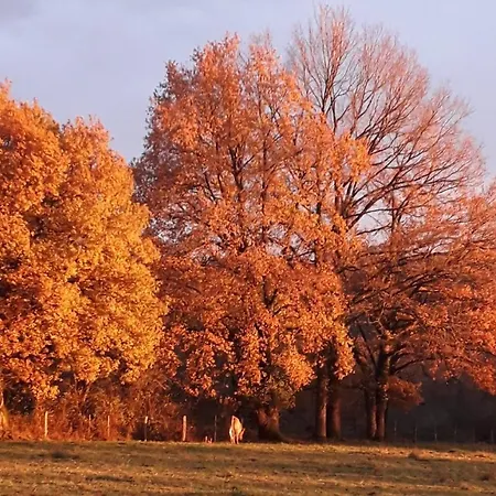 بيت للعطل Countryside Tiny House Near Chateau De Hautefort Boisseuilh